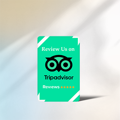 Bright green rectangular sign featuring the black TripAdvisor owl logo with text reading "Review Us on TripAdvisor Reviews" and five yellow stars against a subtly shaded light background.